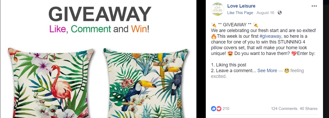 Facebook-promotion giveaway example